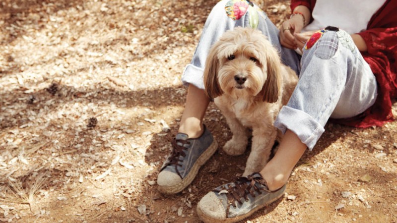 Lee Hyori Finds Photo of Soonshim Before Adoption Lee Hyori Finds Photo of Soonshim Before Adoption