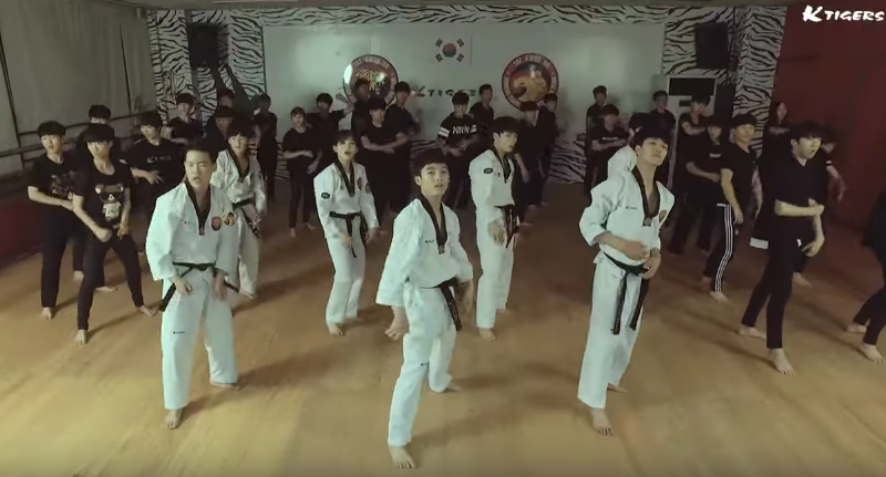 Watch: K-Tigers Put Their Taekwondo Spin On BTS’s “Fire” Watch: K-Tigers Put Their Taekwondo Spin On BTS’s “Fire”