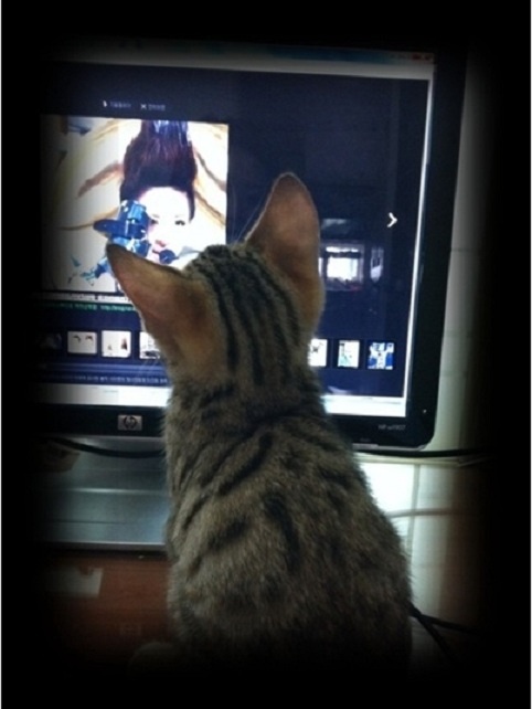 Dadoongi Watching 2NE1’s Sandara Park Dadoongi Watching 2NE1’s Sandara Park