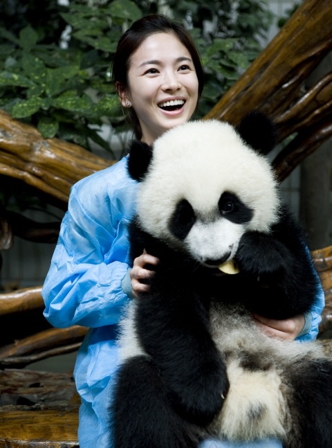 Actress as Panda Narrator