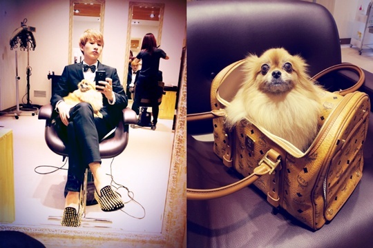 Super Junior’s Eunhyuk Snaps a Photo in a Tux with His Pet Dog