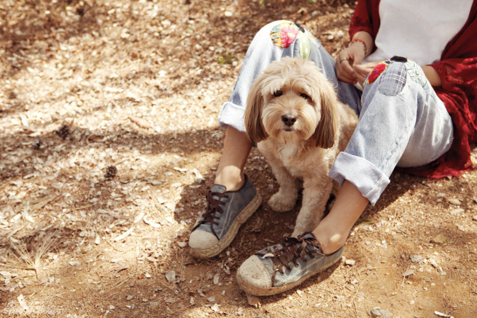 Lee Hyori Finds Photo of Soonshim Before Adoption