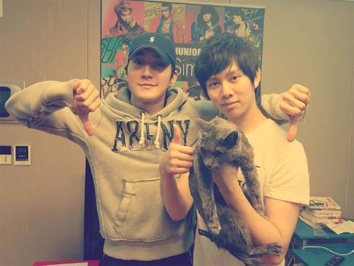 Which K-Pop Stars Are Most Fun to Follow Online?