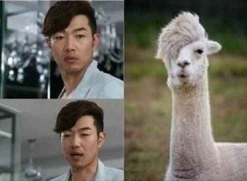 “A Gentleman’s Dignity” Lee Jong Hyuk Reveals His Animal Doppelganger