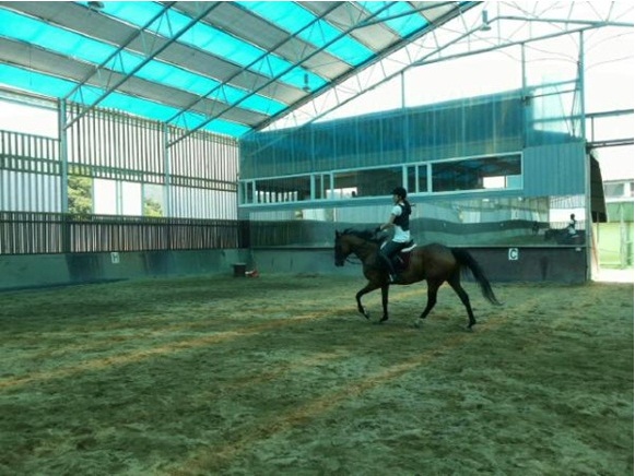 Kahi Is Horseback Riding!