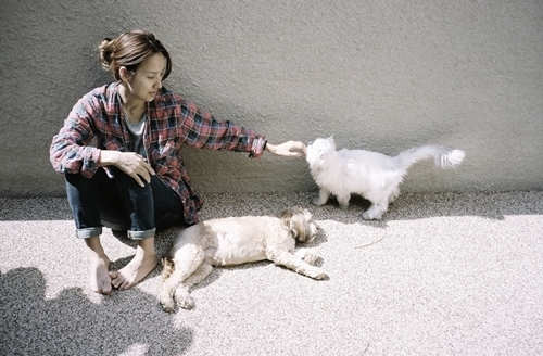 Hyori Reveals a New Family Member