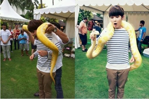 Ryeowook Nervously Wraps a Snake Around His Neck