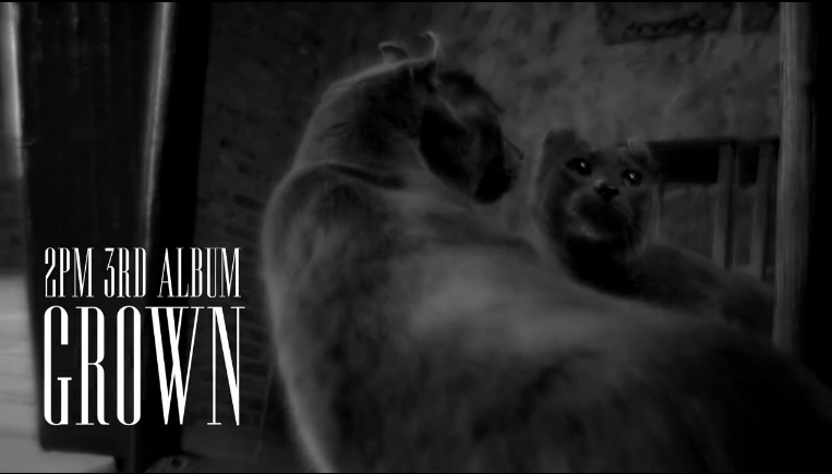 2PM Releases Individual Teaser Images for “Grown”
