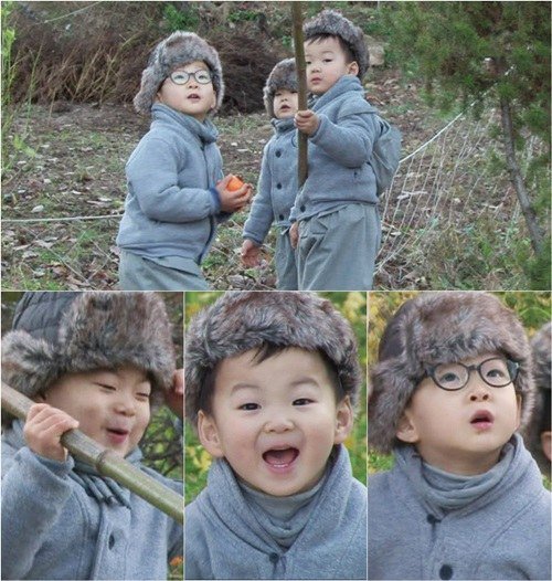 Song Triplets Become Fruit Hunters on 'The Return of Superman'