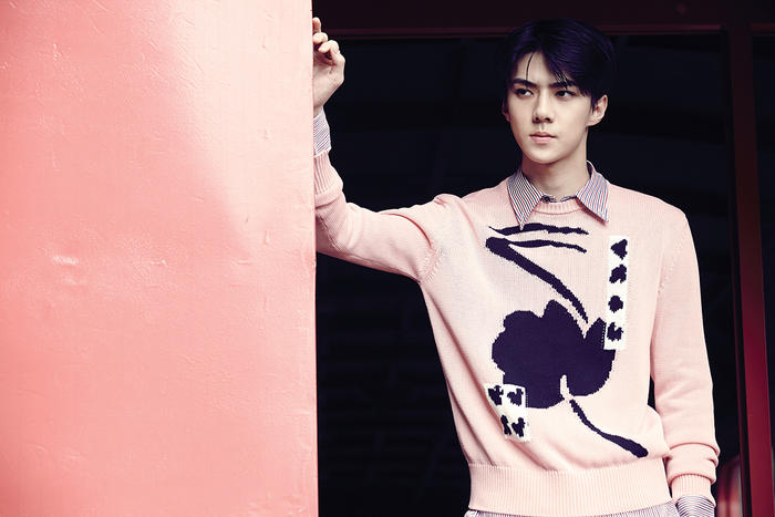 EXO's Sehun Cast in Joint Korean-Chinese Production