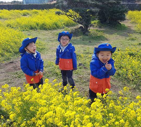 Song Triplets Take a Jeju Island Vacation
