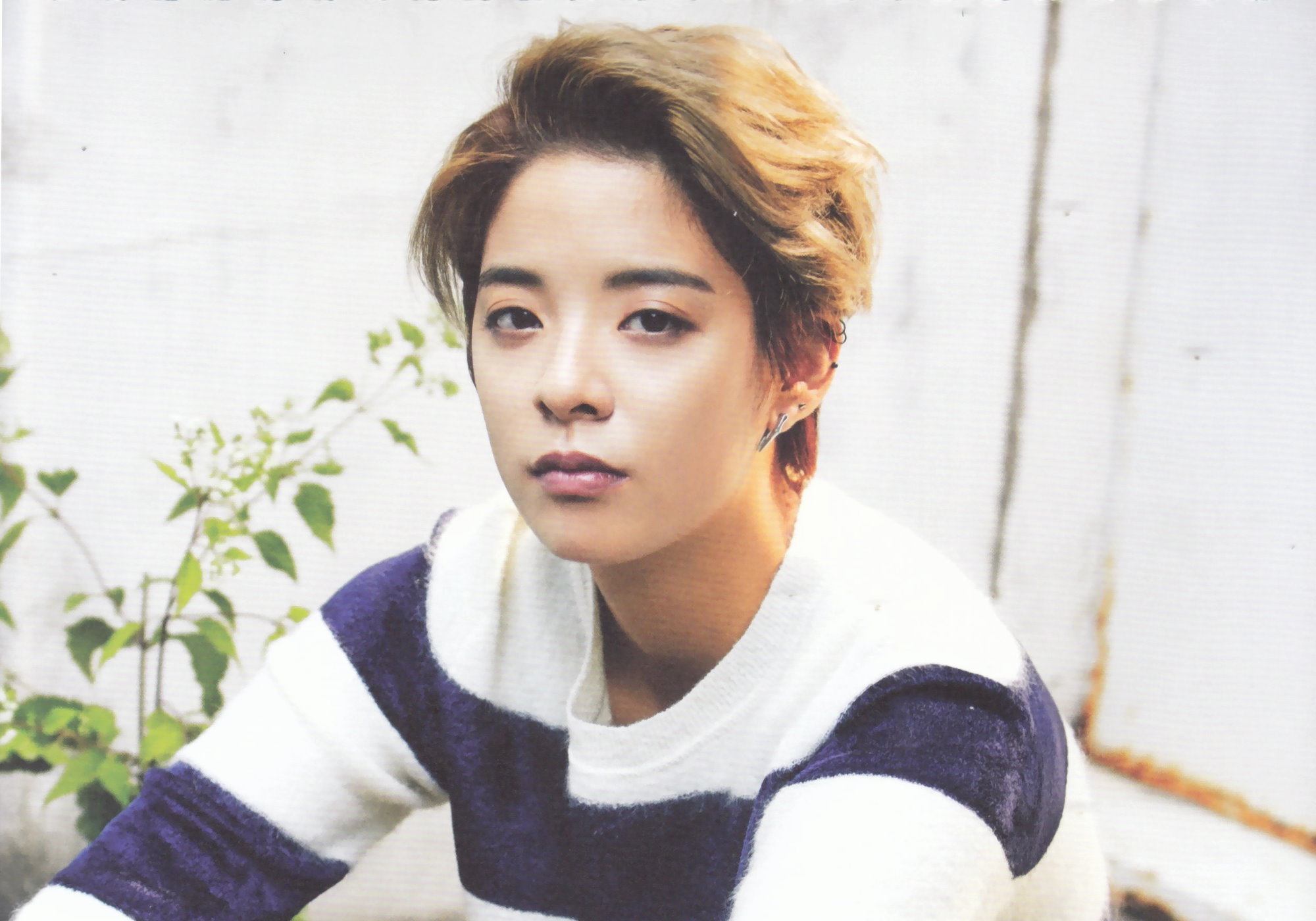 f(x)'s Amber Praised For Her Honest Responses To Personal Questions About Her