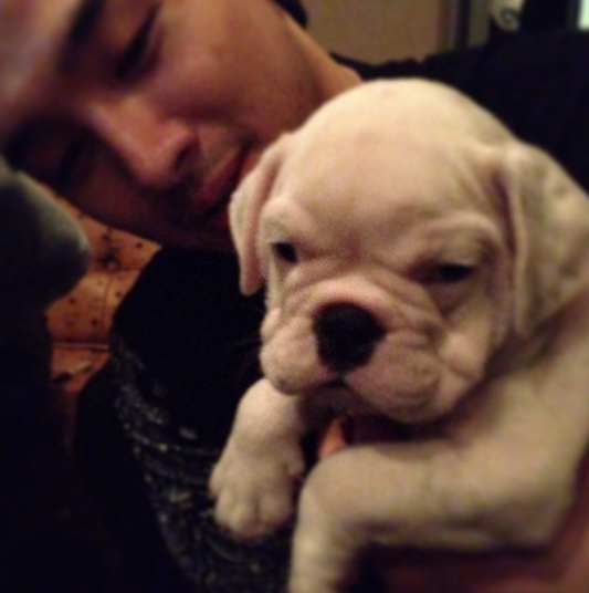 Taeyang's Family Dog Gets Kidnapped