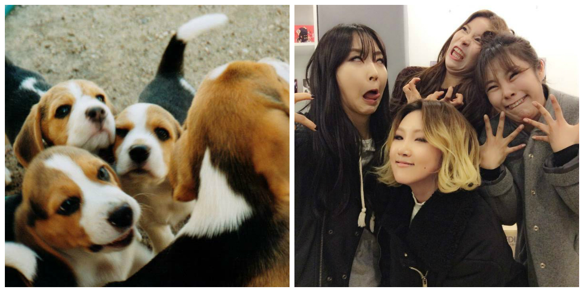 The Beagliest Female K-Pop Idols Of Them All