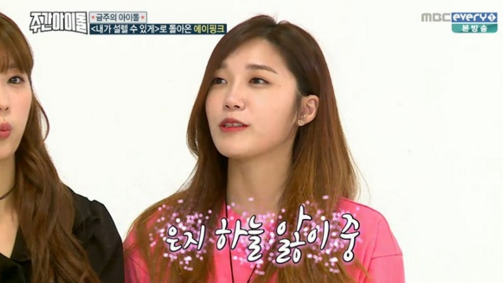 Apink's Jung Eun Ji Talks About Her Fan Love For Kang Ha Neul