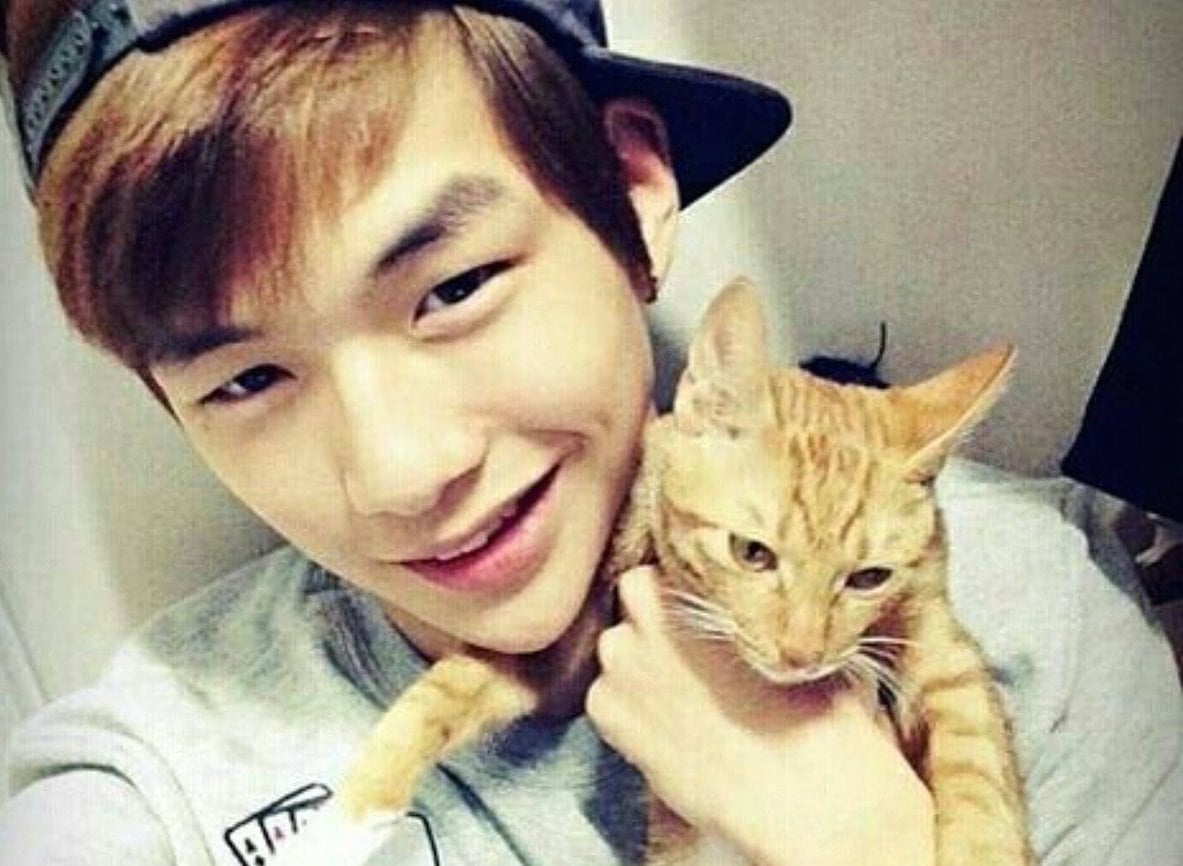 Fans Of 'Produce 101 Season 2' Contestant Kang Daniel Donate To Protect Cats