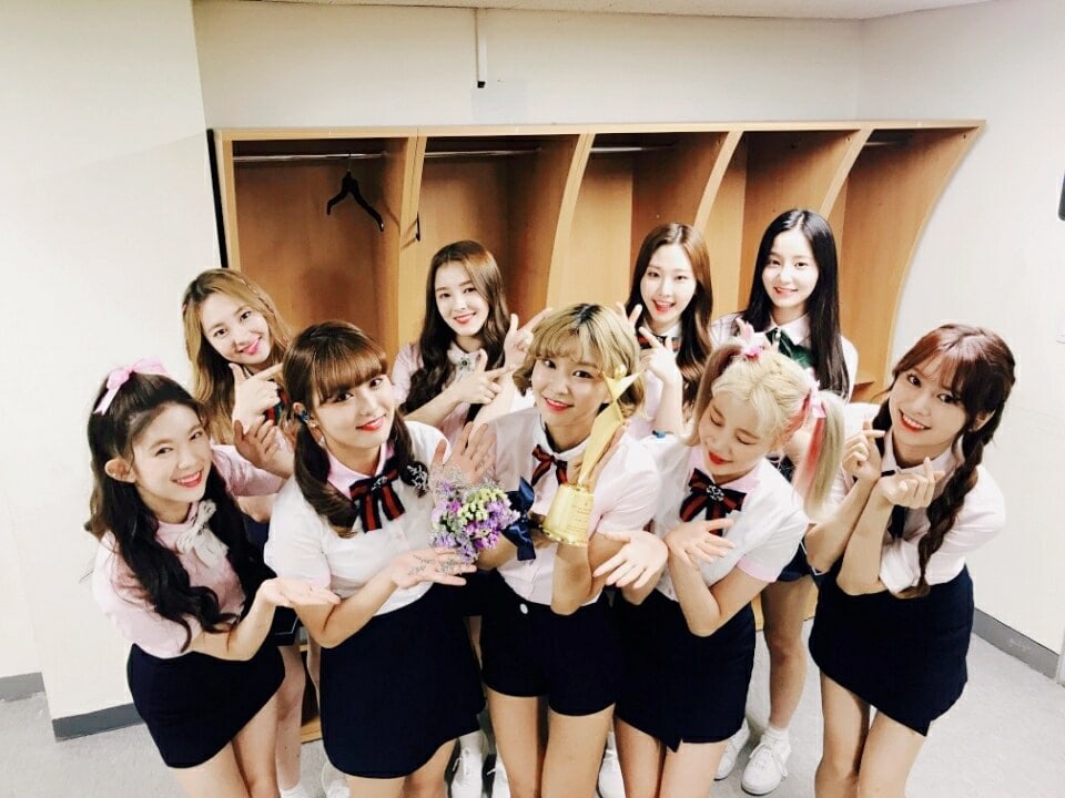MOMOLAND Wins Their First Award At The '2017 Asia Model Awards'