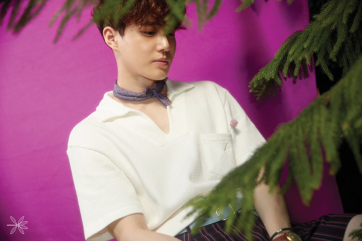 Update: EXO Drops New Suho Teasers And Announces Live Comeback Special