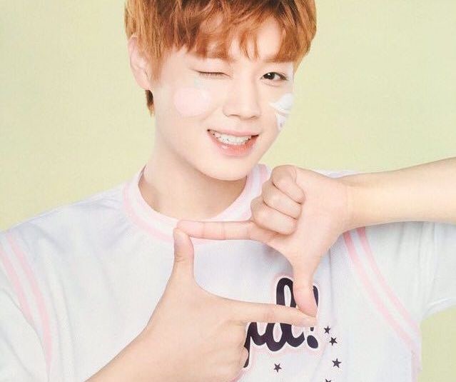 'Save You In My Heart' By Wanna One's Park Ji Hoon Chosen As Best Catchphrase Of 1st Half Of 2017