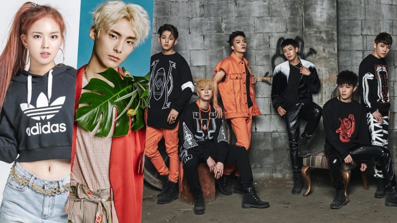 Janey, A.C.E's Jun, BIGFLO, And More To Join Idol Rebooting Show 