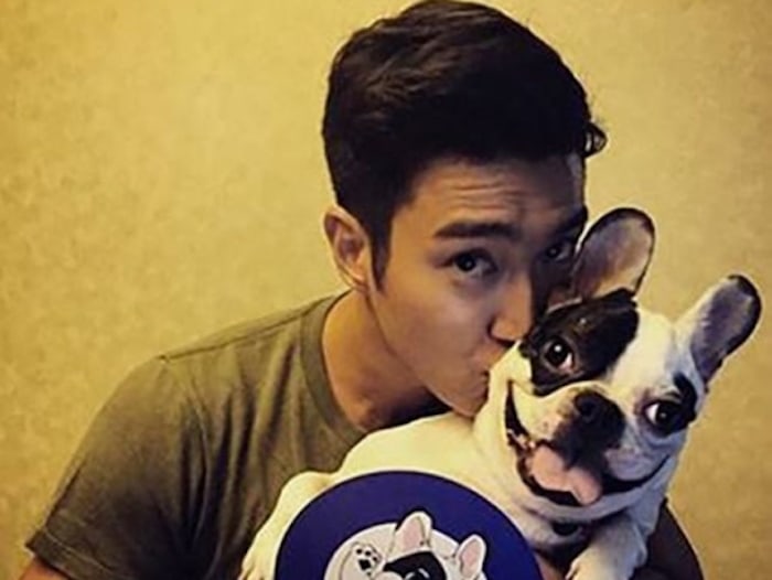 Choi Siwon's Family Gets Fined For Dog Biting Incident