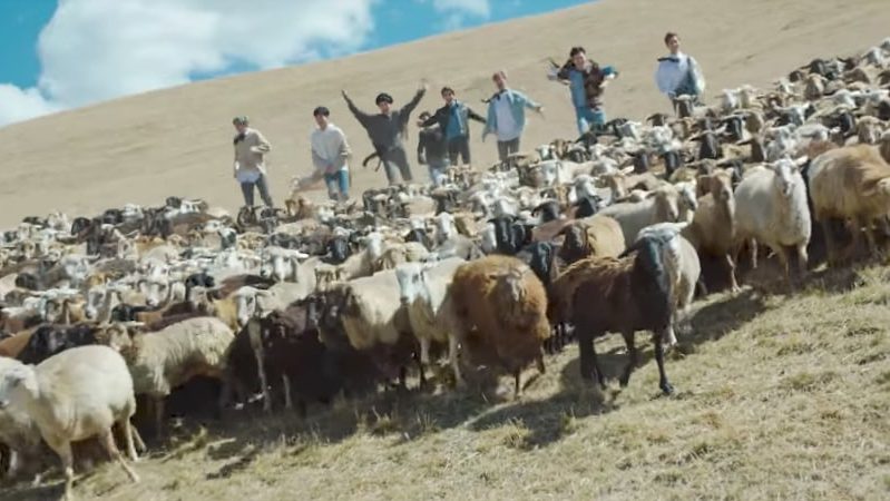 Watch: IN2IT Chases Sheep In Gorgeous Trailer For 'Paradise'