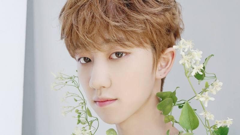 SEVENTEEN's The8 Taking Break From All Activities Due To Injury