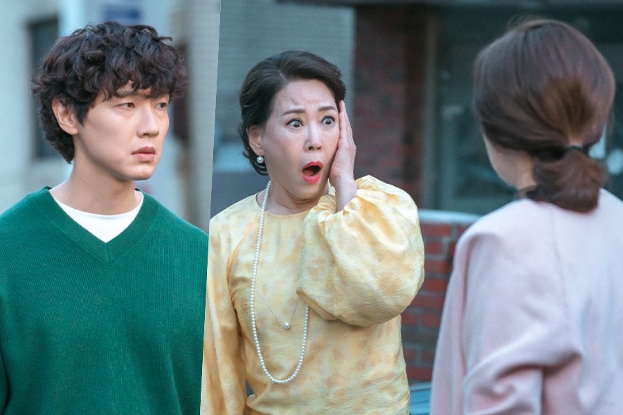 Im Soo Hyang’s And Ji Hyun Woo’s Moms Get Into A Physical Fight In “Beauty And Mr. Romantic”