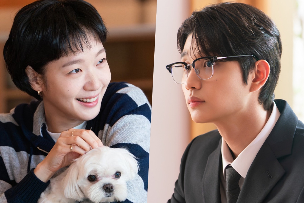 “Yumi’s Cells 3” Confirms Broadcast Schedule