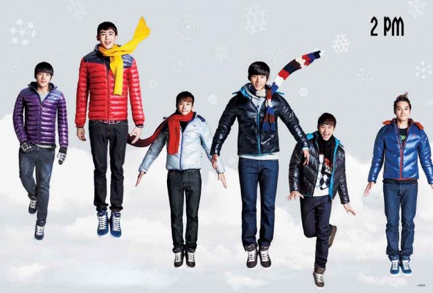 Cosmetic Surgeons Select the Best Looking Idols of 2011