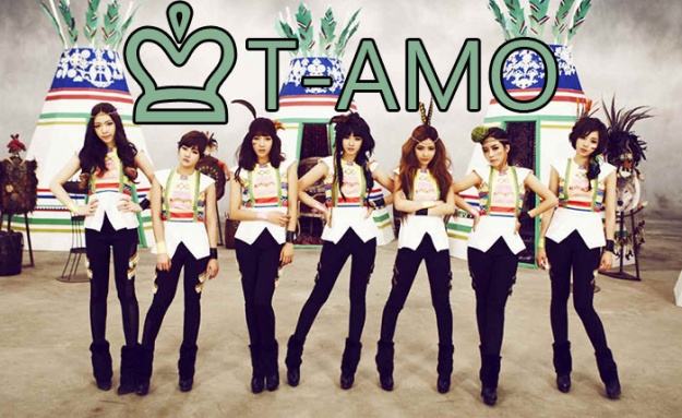 A Look At T-AMO, the T-ARA Fan Club