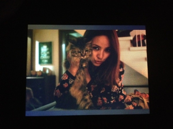 Lee Hyori Turns into a Foxy Catwoman