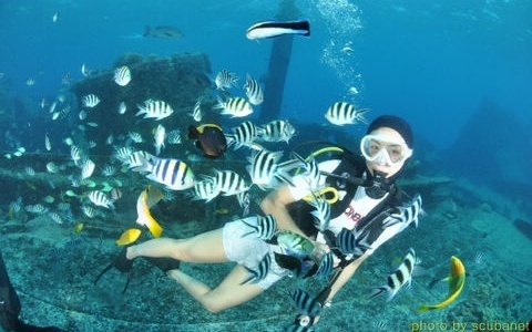 Ha Ji Won Now a Licensed Scuba Diver