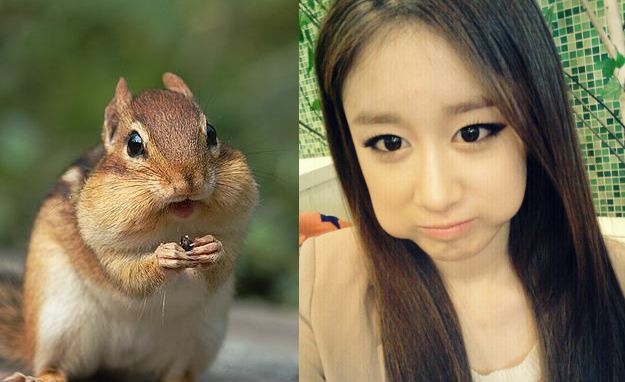 Random Musings: Celebrity Doppelgangers, Lee Hyori Never Gets Off Easy And T-ara’s Angel In Disguise?