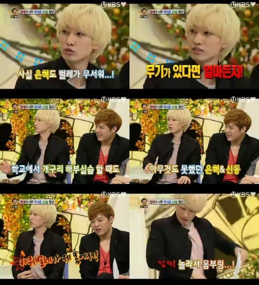 Who is the Bug Catcher in Super Junior’s Dorm?