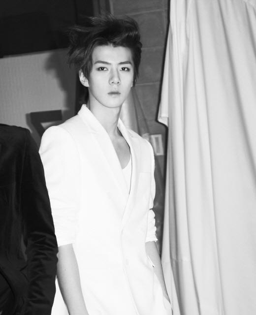 EXO Releases a New Teaser Introducing Se Hun