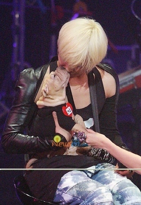 Idols and Their Super Duper Adorable Pets ♥ Part 1