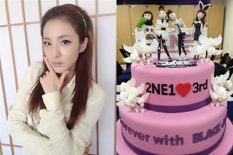 2NE1 Sandara Shows Off Special Cake to Celebrate 3-Yr Anniversary