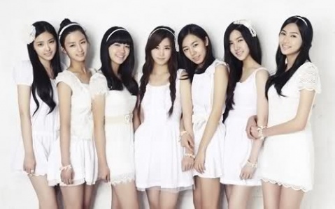 A Pink Fans Fight for a Third Season of "A Pink News"