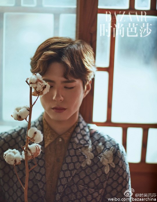 Park Bo Gum pintoresco para Harper’s Bazaar China
