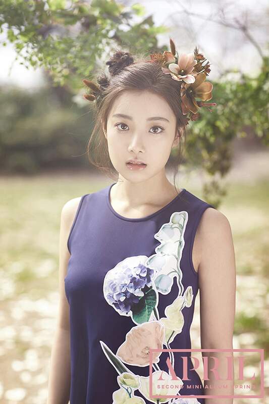 Hyunjoo de April detiene temporalmente las promociones con el grupo debido a problemas de salud