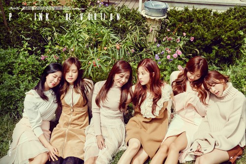 Apink desean ser conocidas como un grupo más maduro