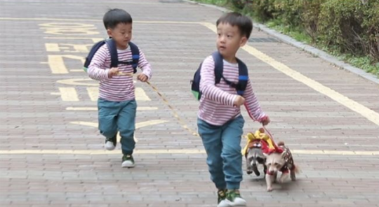 Seo Eon y Seo Jun tienen una cita super linda con mapaches en “The Return Of Superman”