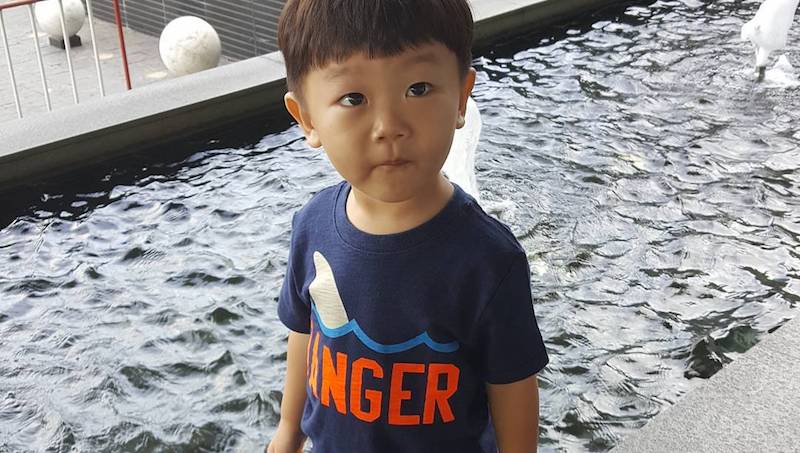 Daebak encuentra un nuevo lugar para esconderse en una adorable foto