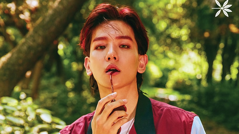 [Actualizado] EXO revela emocionantes detalles sobre su canción “KoKoBop” + Hermosas fotos teaser con Baekhyun