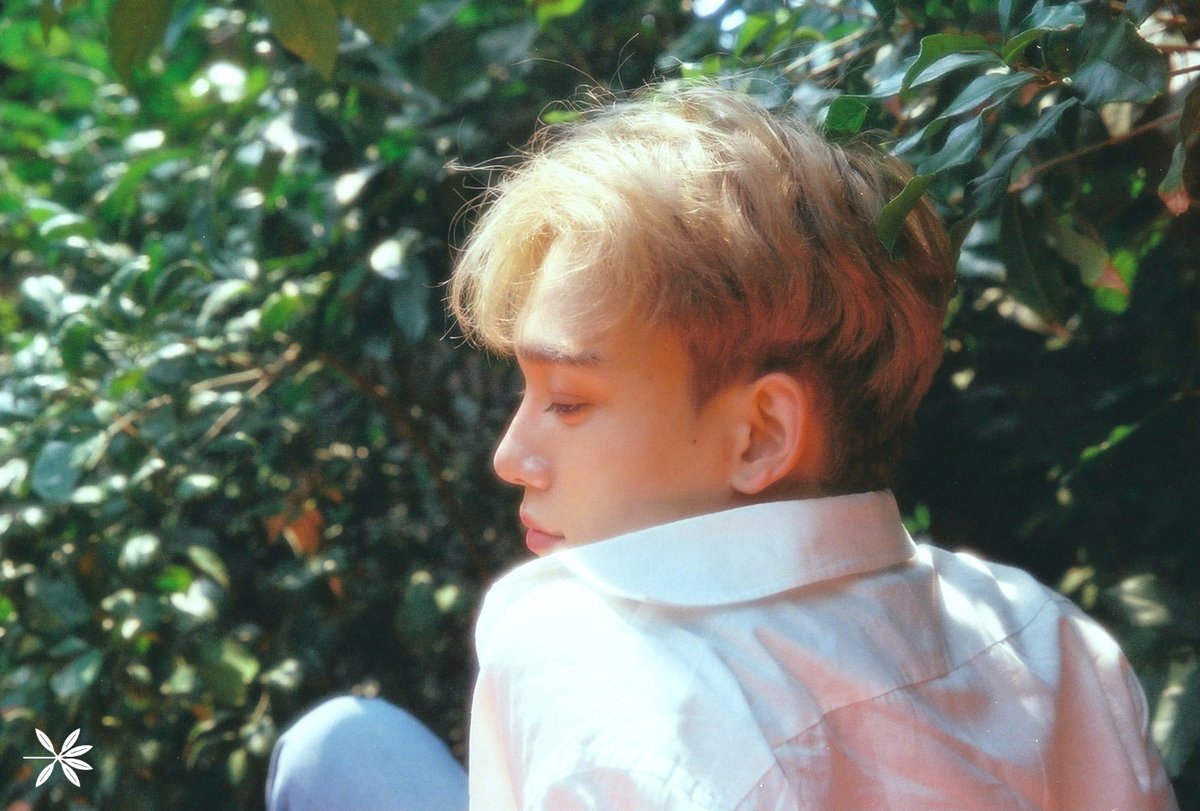 [Actualizado] Chen de EXO presume de su nuevo cabello rubio en teasers para 'The War'