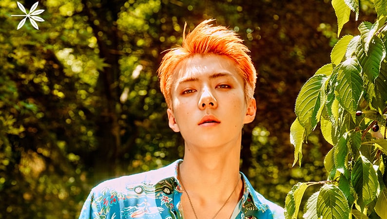 Sehun de EXO es elegido como el primer modelo de portada de la revista SuperELLE