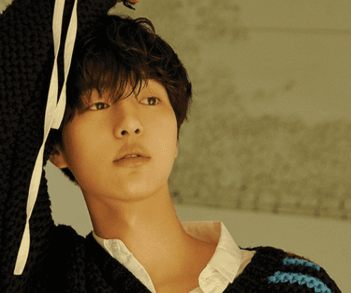 Yang Se Jong habla sobre trabajar con Seo Hyun Jin en “Degree Of Love”
