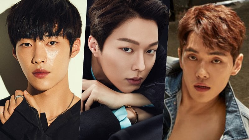 Los nominados al mejor actor novato son anunciados para los KBS Drama Awards 2017
