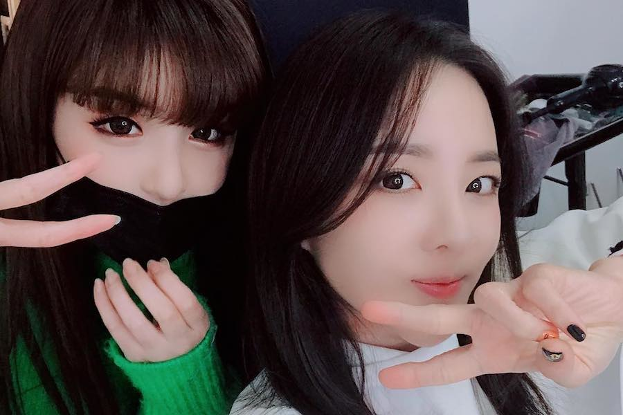 La reunión de Park Bom y Sandara Park está emocionando a sus fans